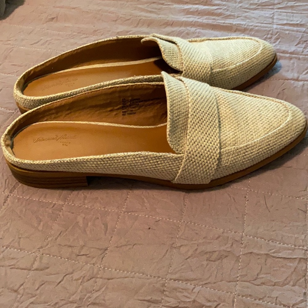 Cute mules!